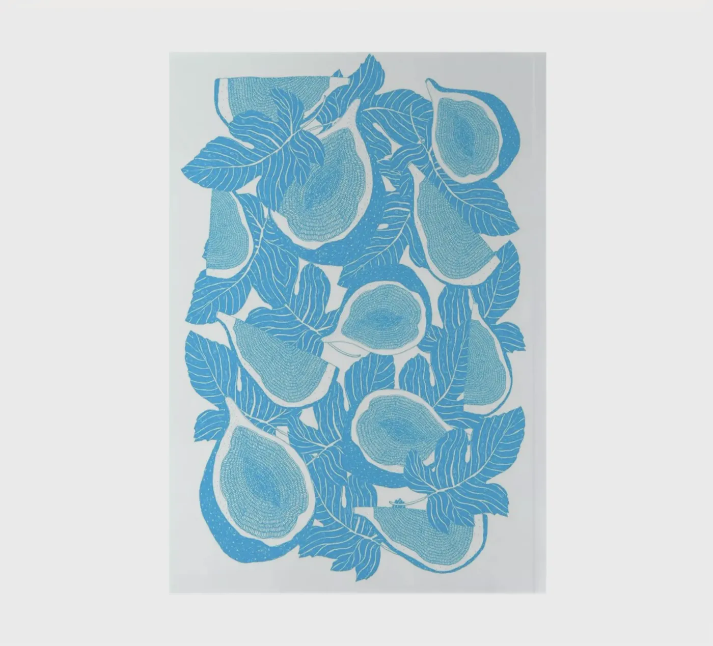 Feigen notebook by Eva Wünsch