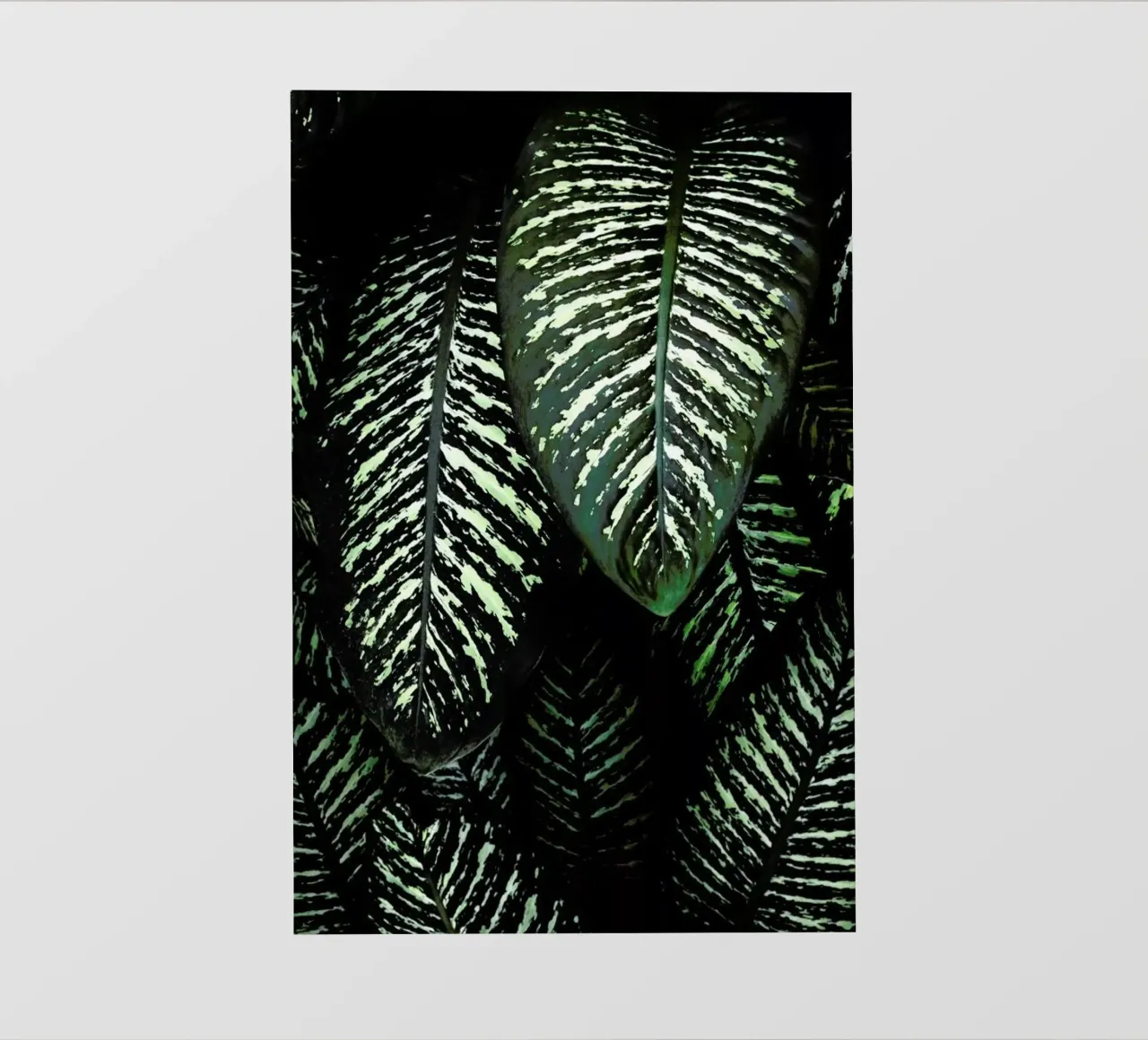 Jungle 1 telo in pvc da Amy & Kurt