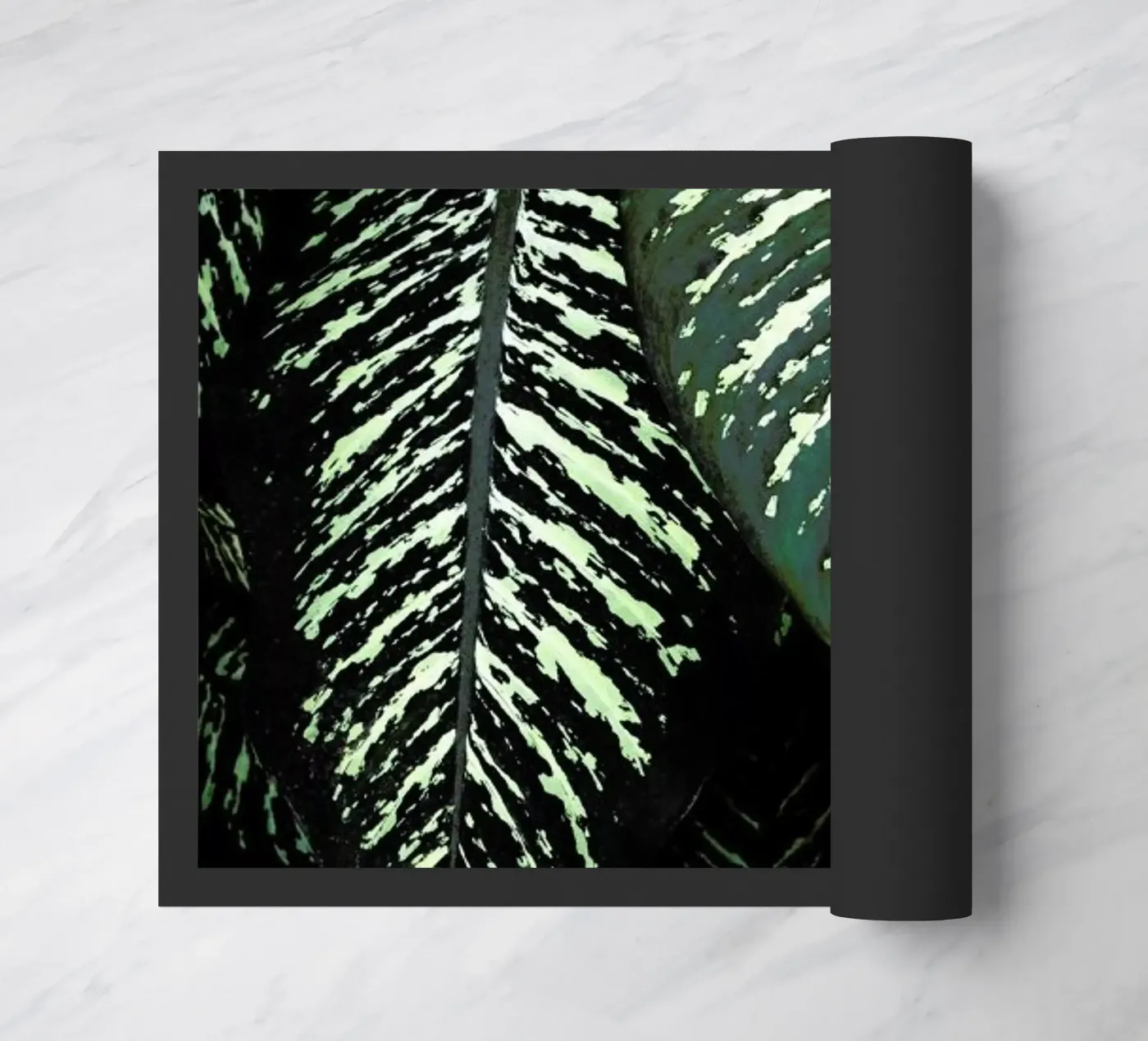 Jungle 1 zerbino da Amy & Kurt