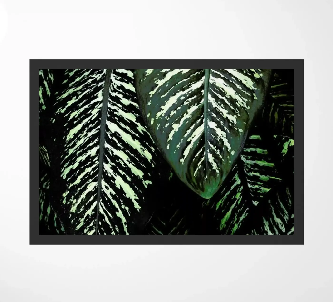 Jungle 1 zerbino da Amy & Kurt