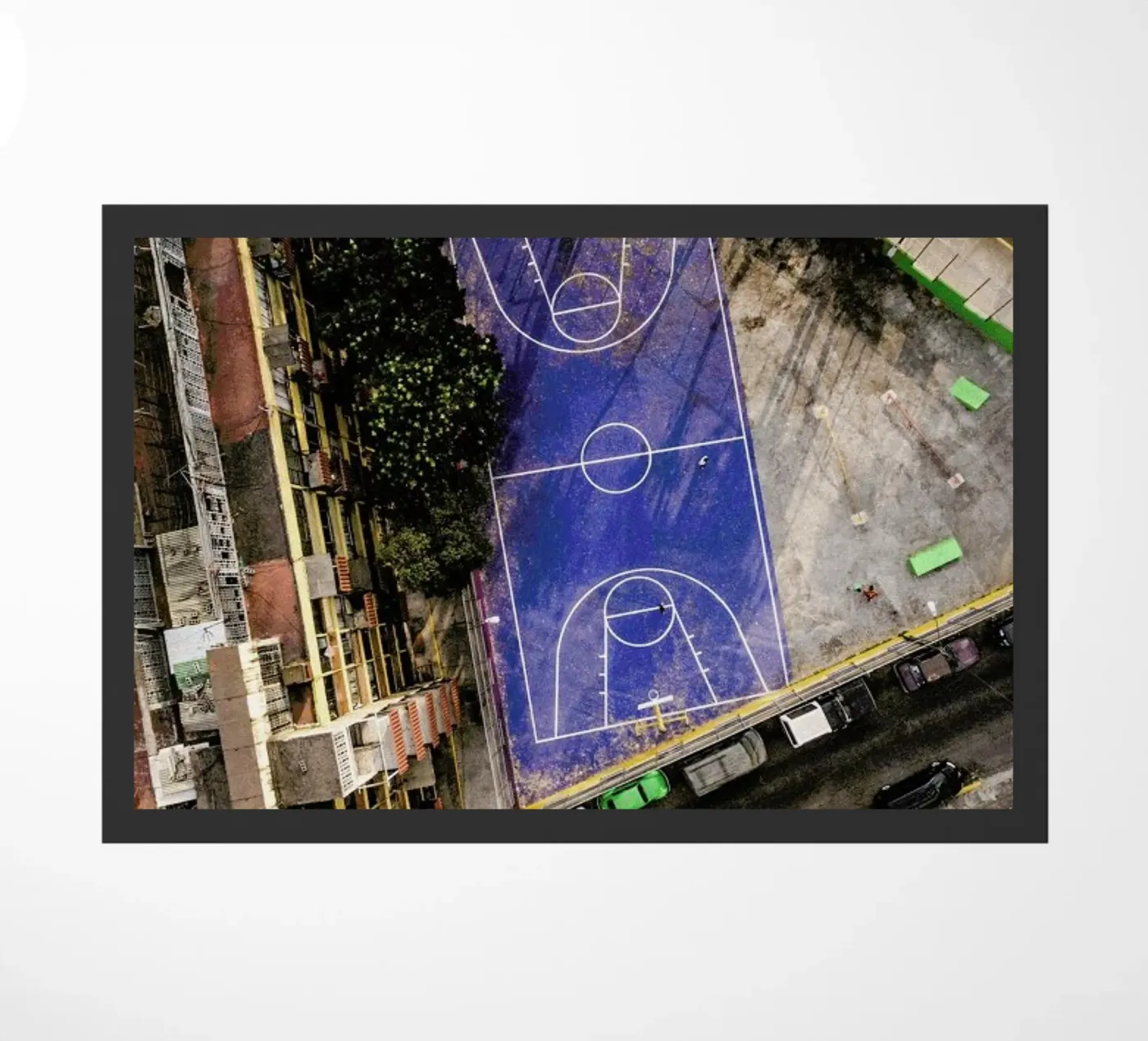 Triangle zerbino da ROBERTO H