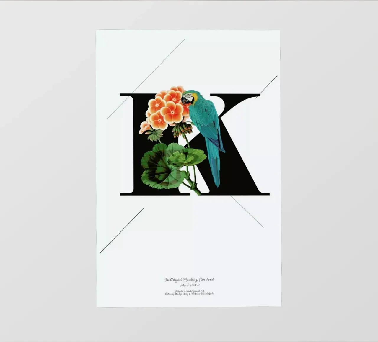 Botanical Alphabet - K pellicola backlit da Froilein Juno