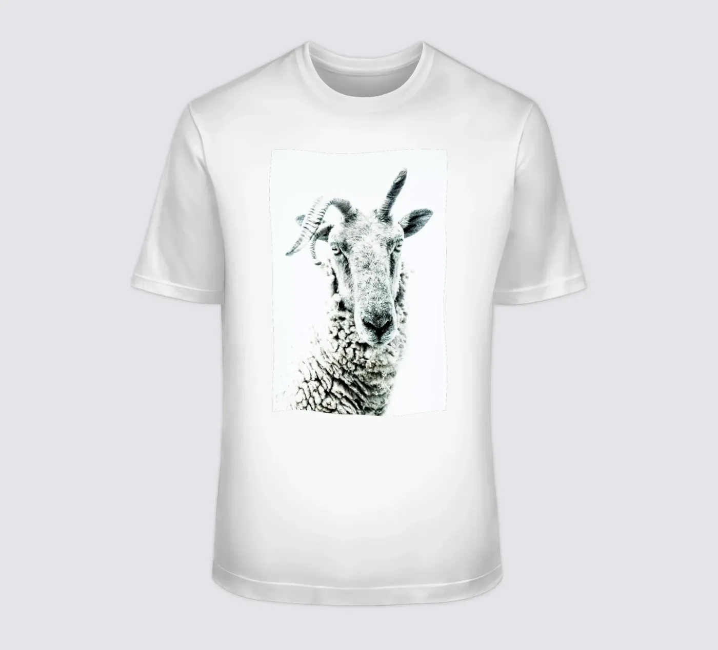 Pecora t-shirt da Victoria Frost