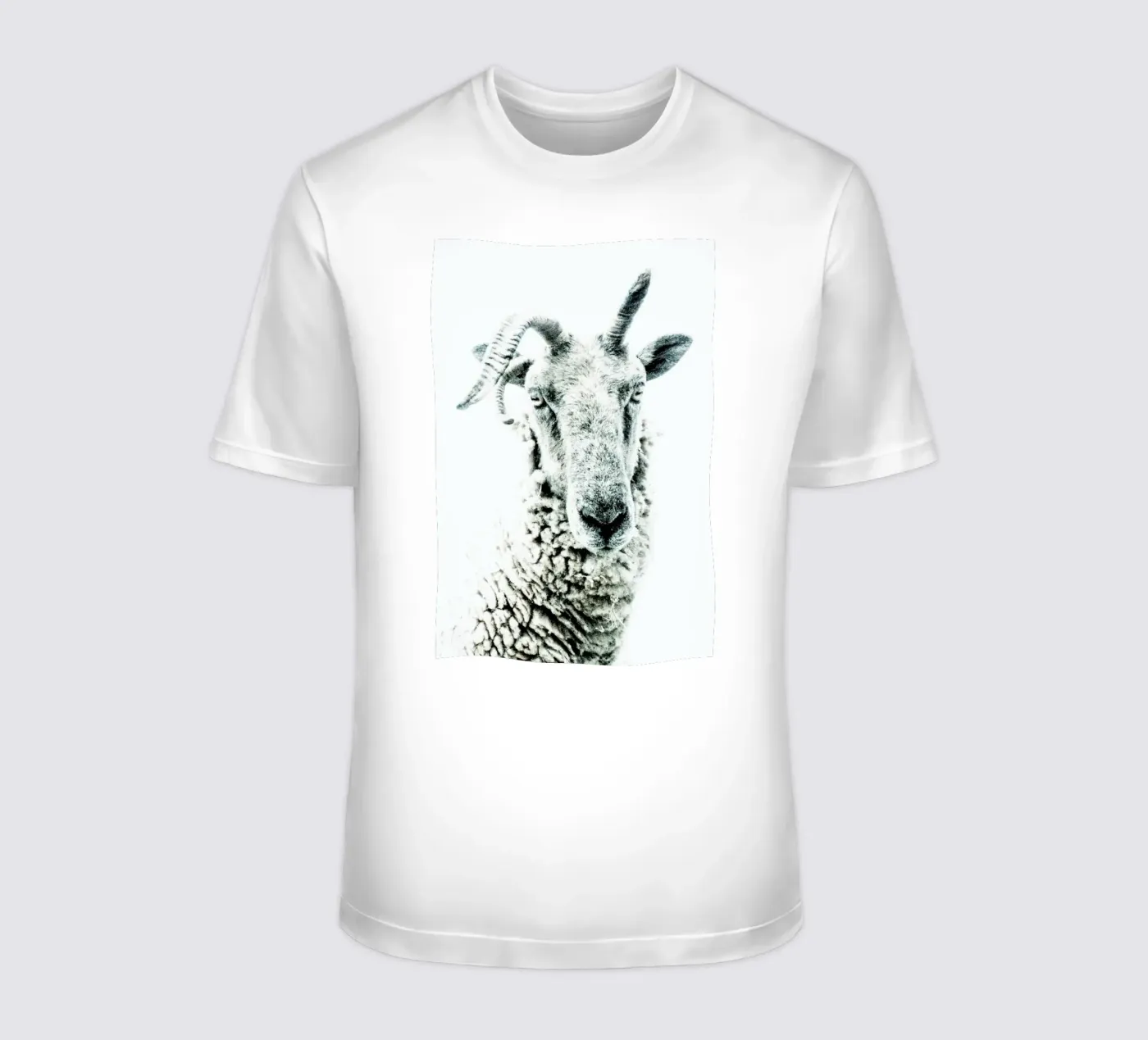 Pecora t-shirt da Victoria Frost