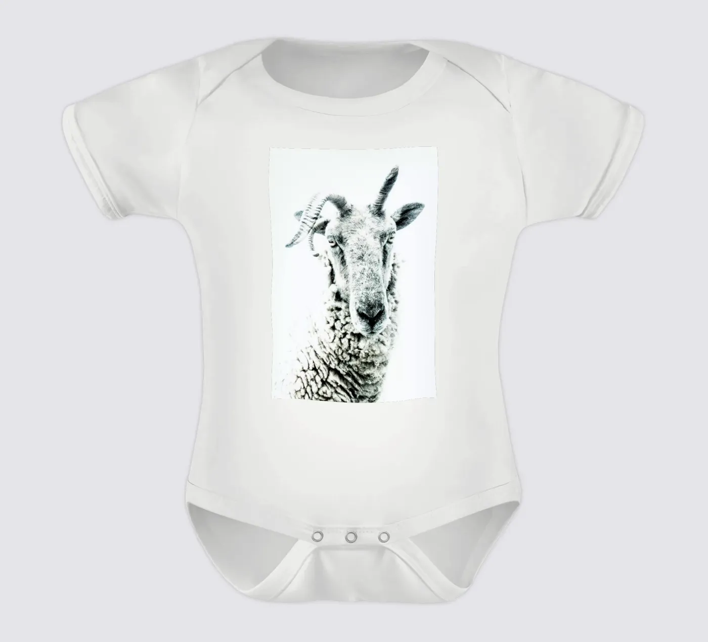 Moutons body bébé de Victoria Frost