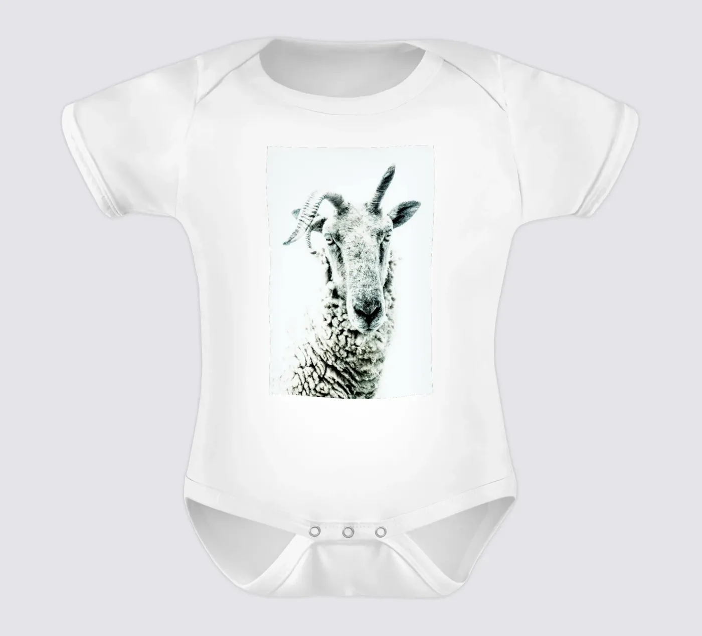 Moutons body bébé de Victoria Frost