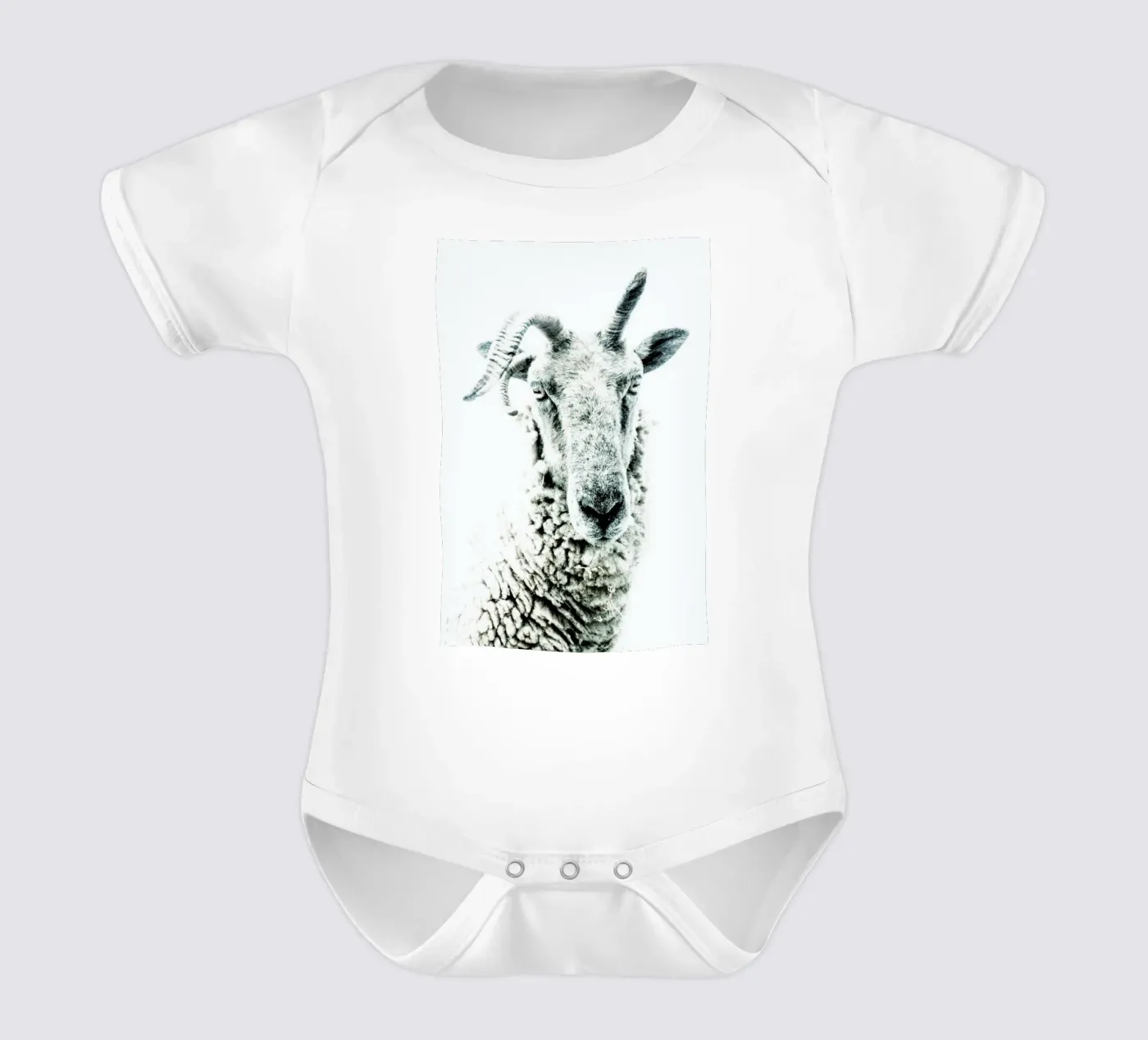 Sheep body bébé de Victoria Frost