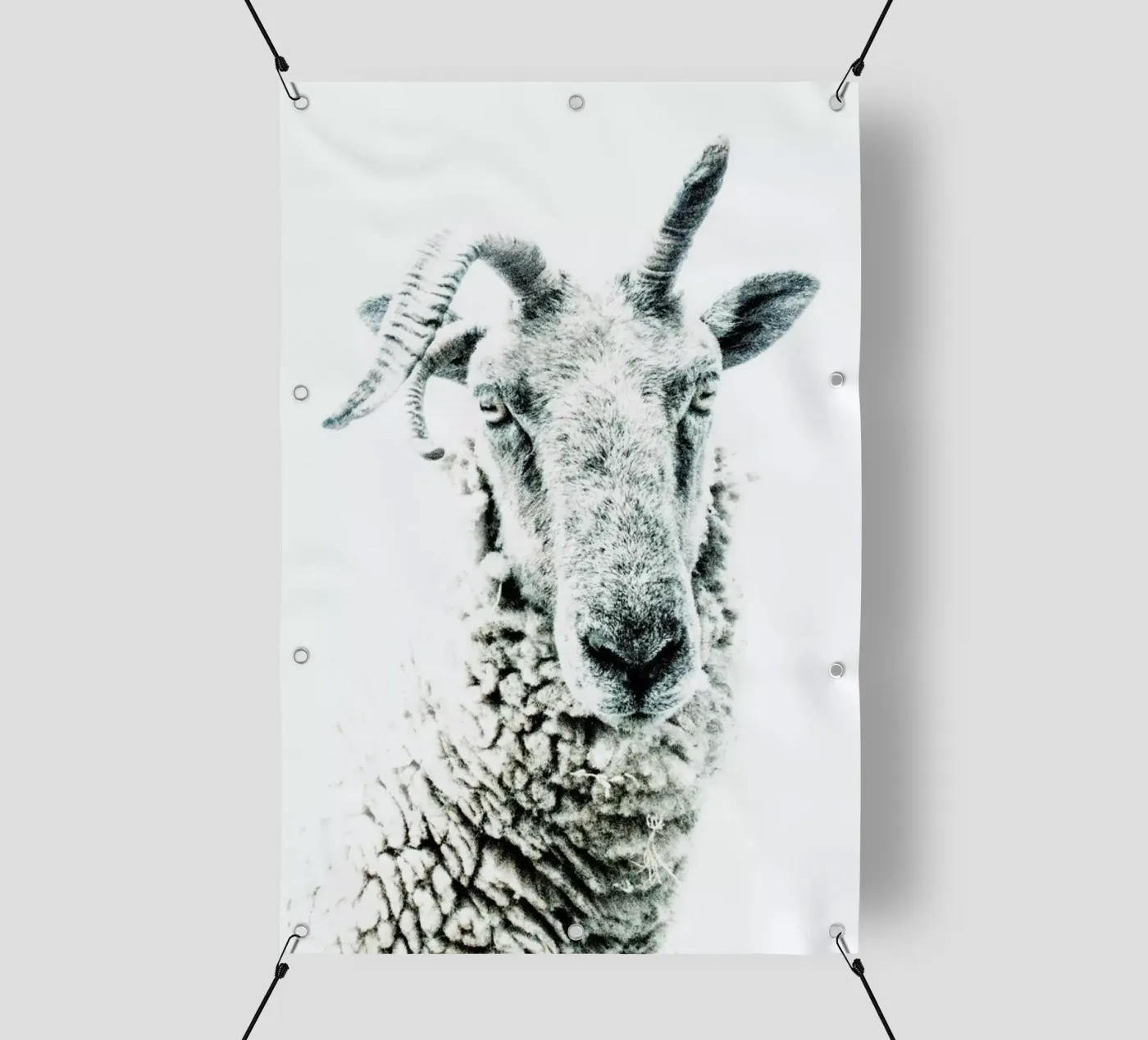 Pecora telo in pvc da Victoria Frost