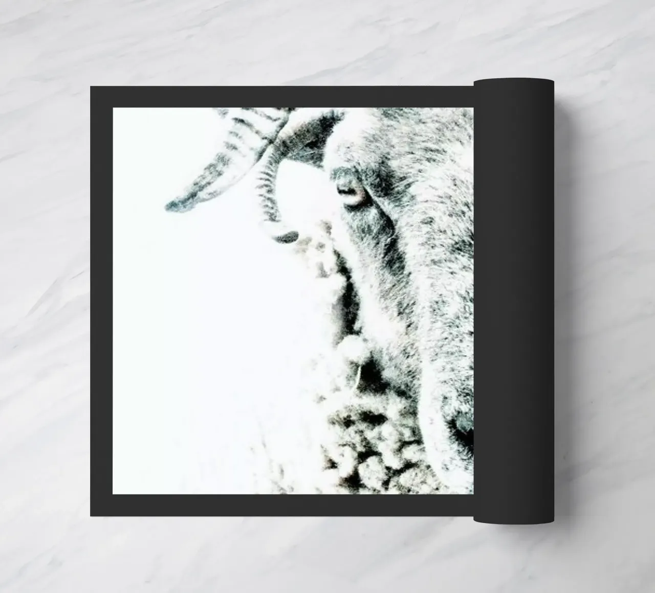 Pecora zerbino da Victoria Frost