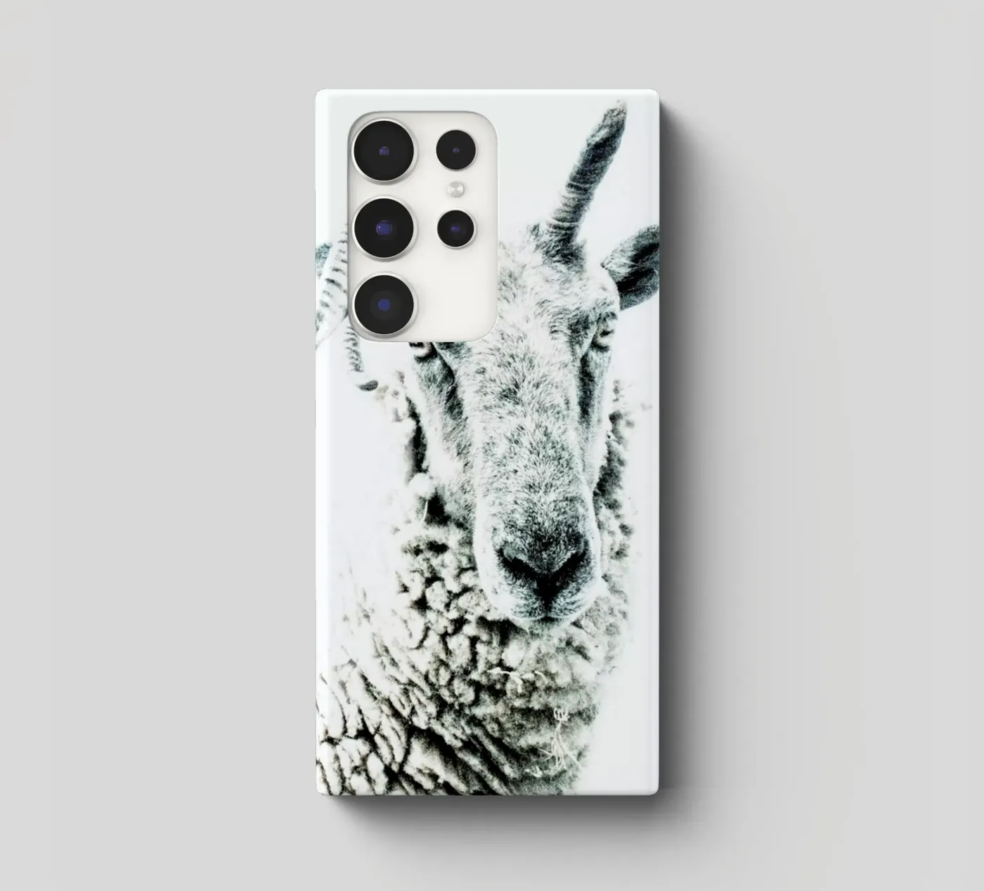 Pecora cover samsung da Victoria Frost