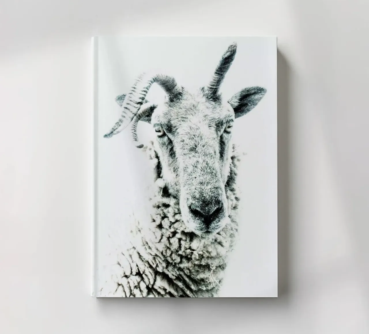 Sheep notebook by Victoria Frost