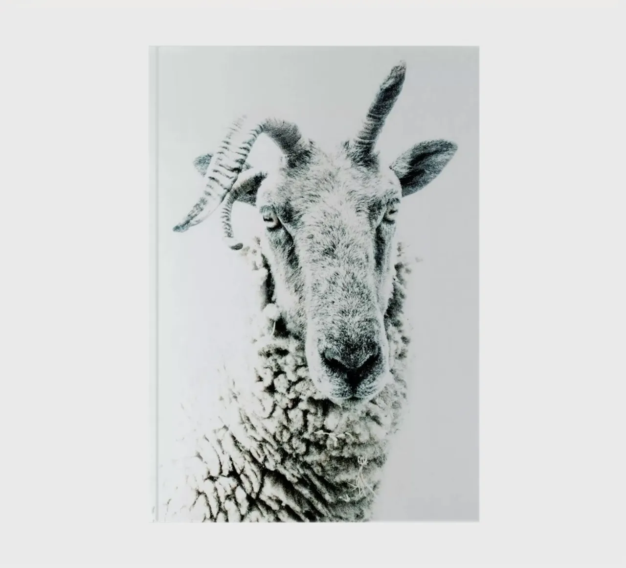 Sheep notebook by Victoria Frost