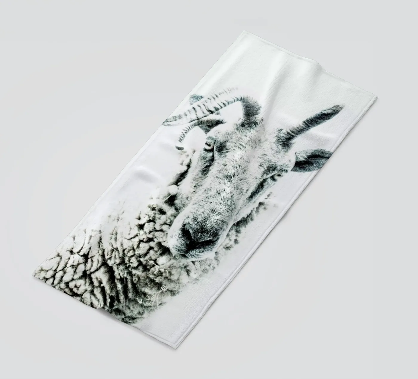 Pecora telo mare da Victoria Frost