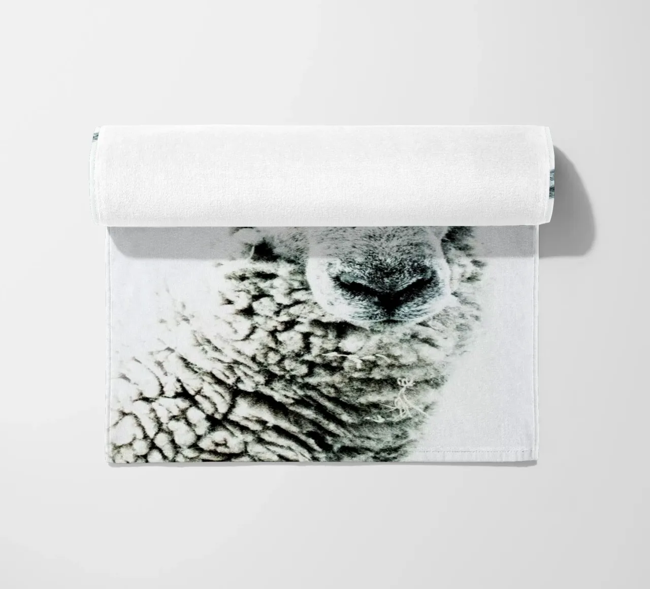 Pecora telo mare da Victoria Frost