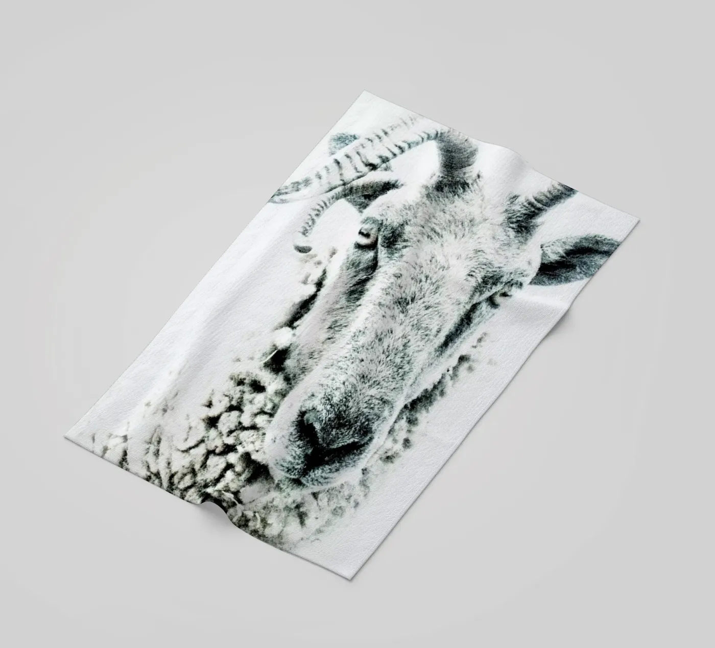 Pecora telo mare da Victoria Frost