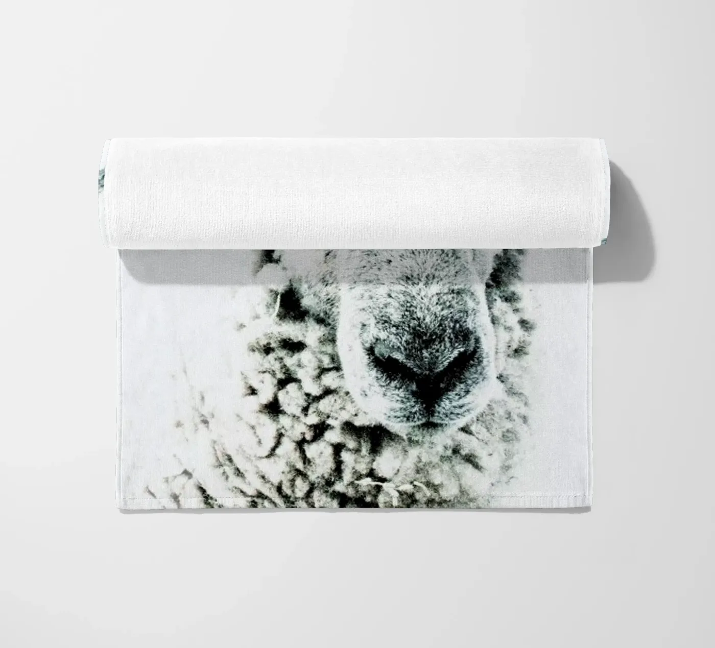 Pecora telo mare da Victoria Frost