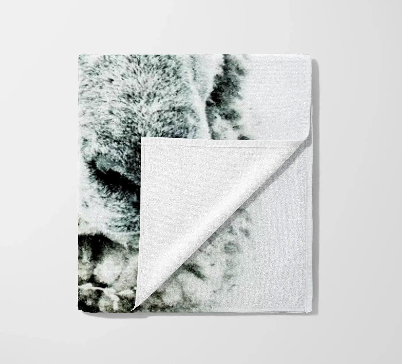 Pecora telo mare da Victoria Frost