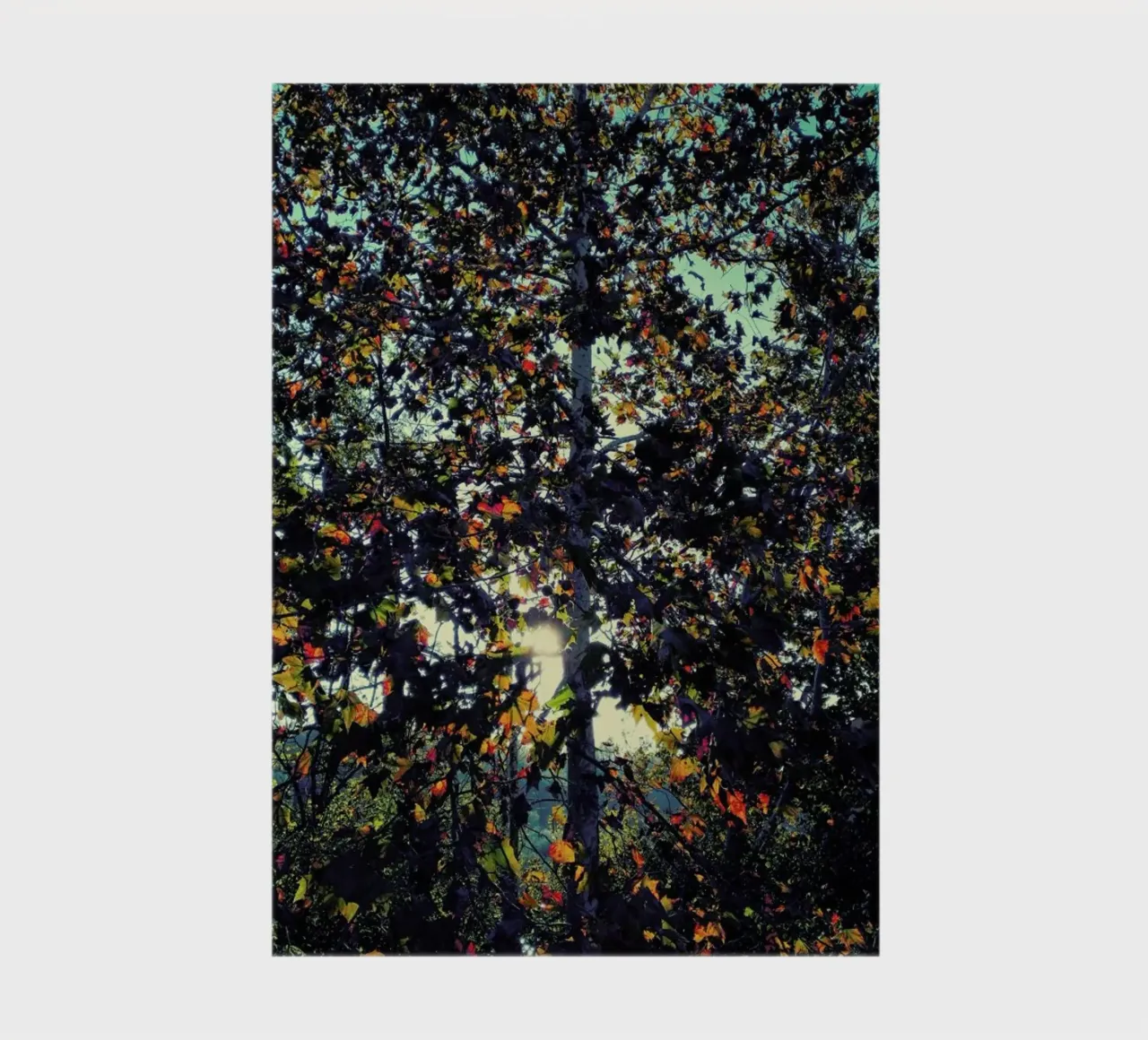 Autumn Language notebook by Angelo Cerantola