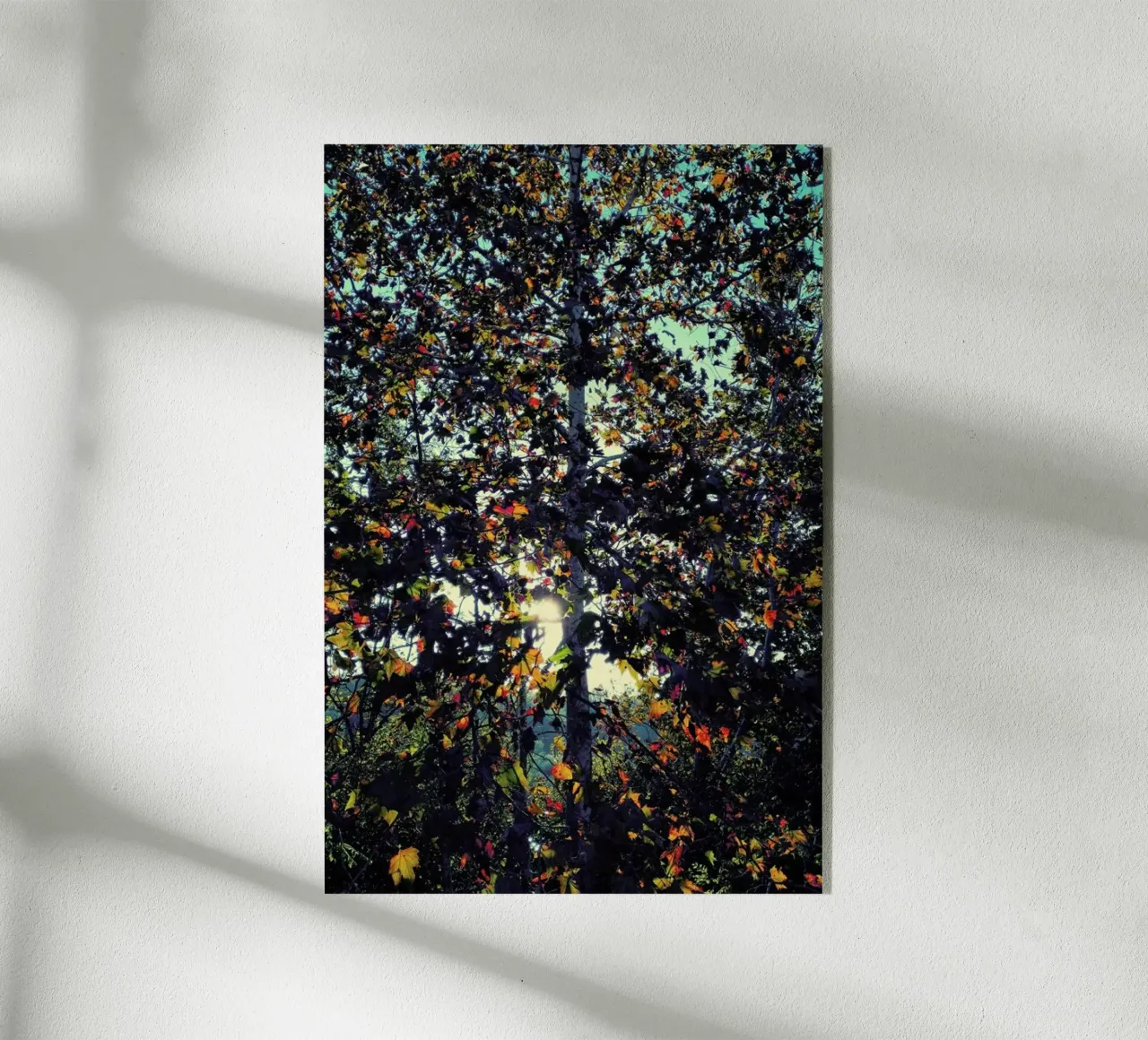 Autumn Language plexiglass da Angelo Cerantola