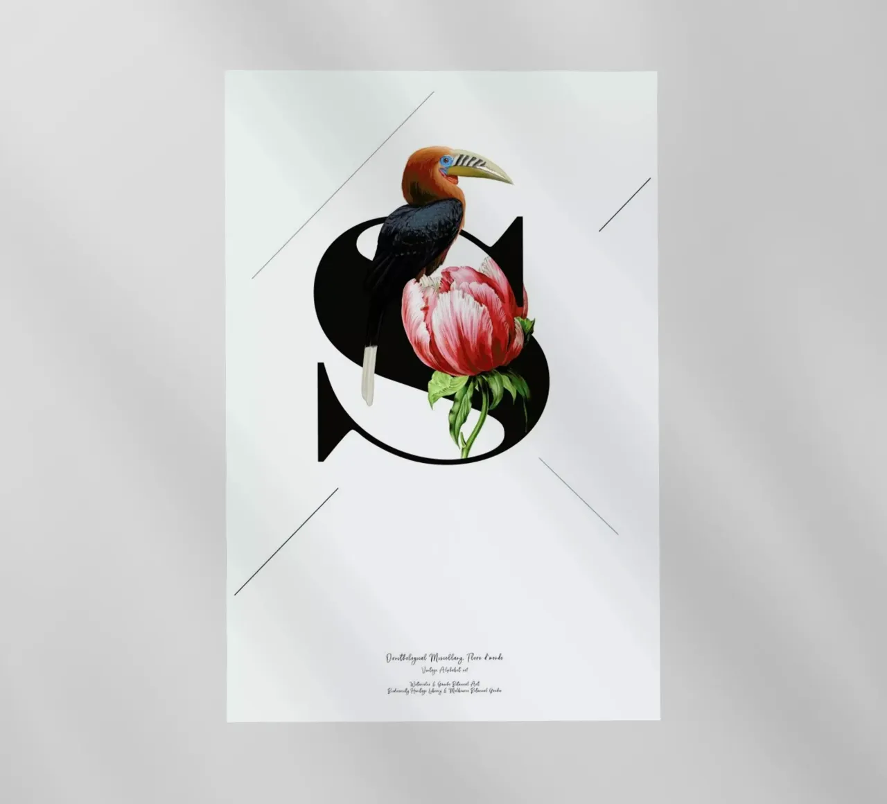 Botanical Alphabet - S pellicola backlit da Froilein Juno