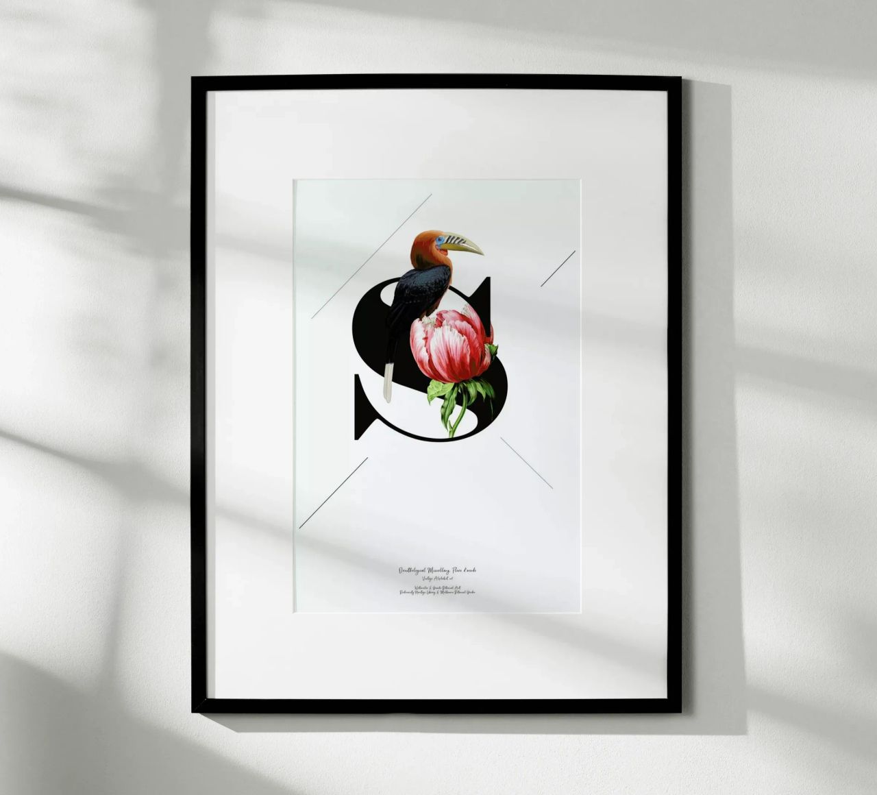 Botanical Alphabet - S poster de Froilein Juno
