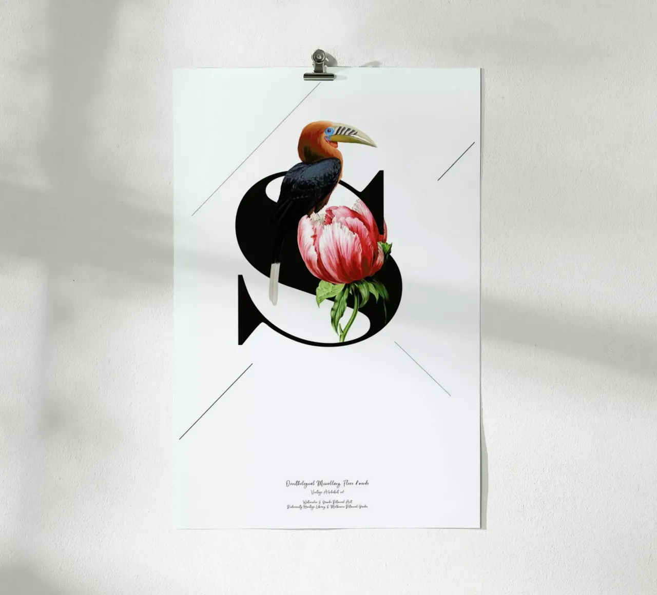 Botanical Alphabet - S carta hahnemühle da Froilein Juno