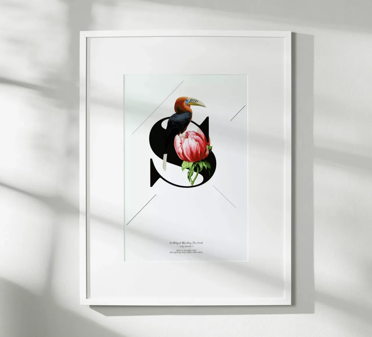 Botanical Alphabet - S carta hahnemühle da Froilein Juno