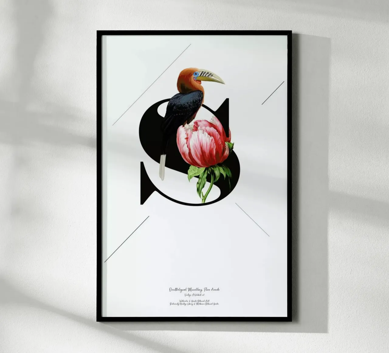 Botanical Alphabet - S carta hahnemühle da Froilein Juno