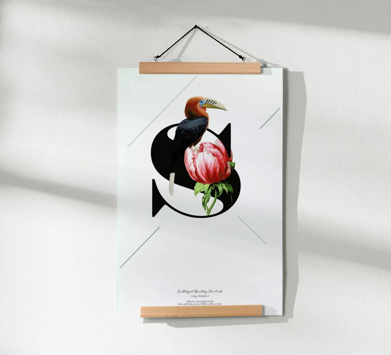 Botanical Alphabet - S poster de Froilein Juno