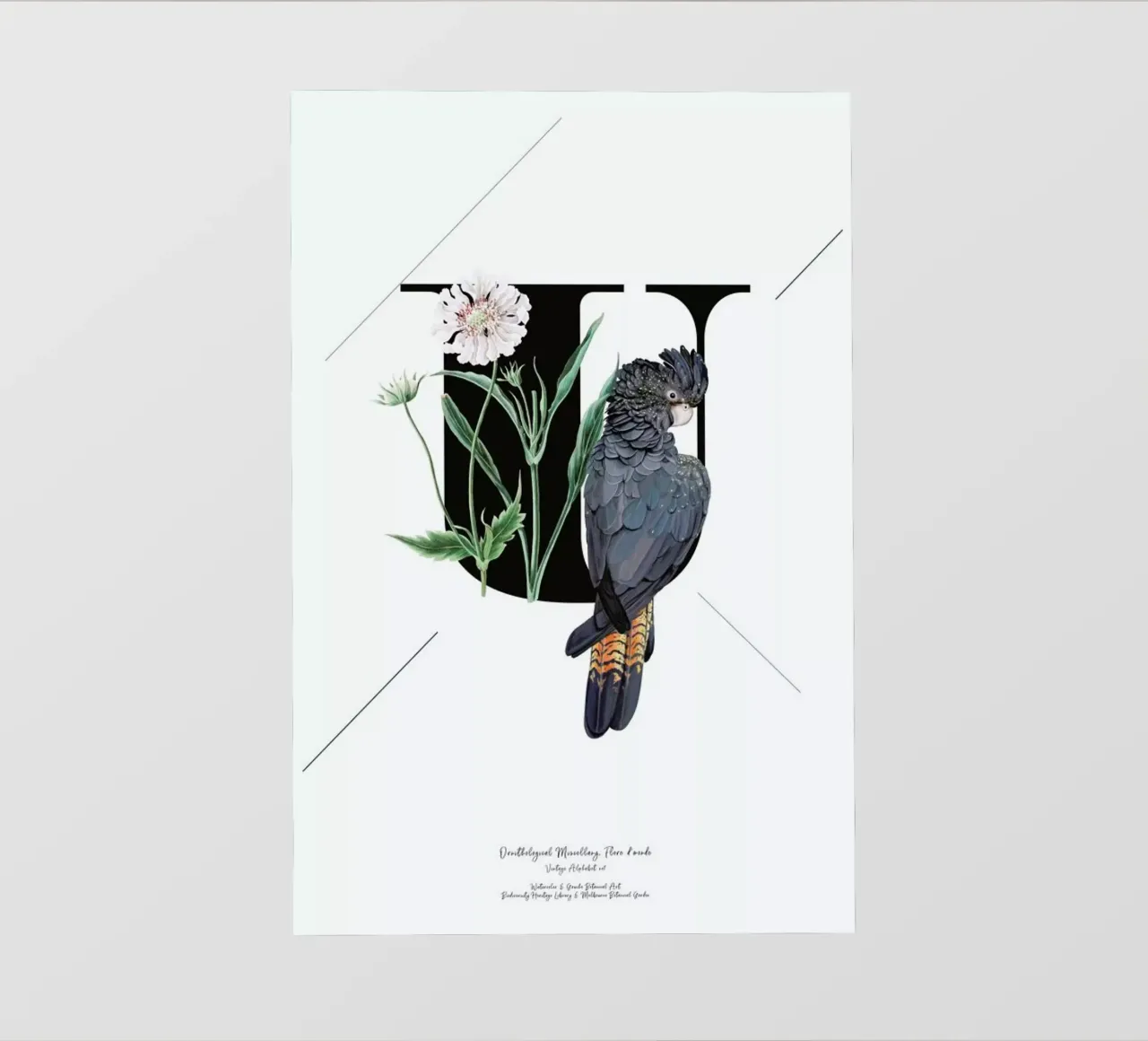Botanical Alphabet - U pellicola backlit da Froilein Juno