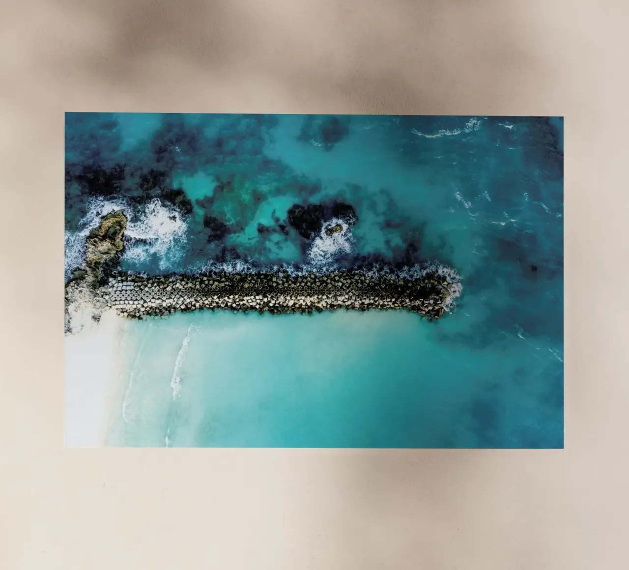 Snake pellicola backlit da ROBERTO H