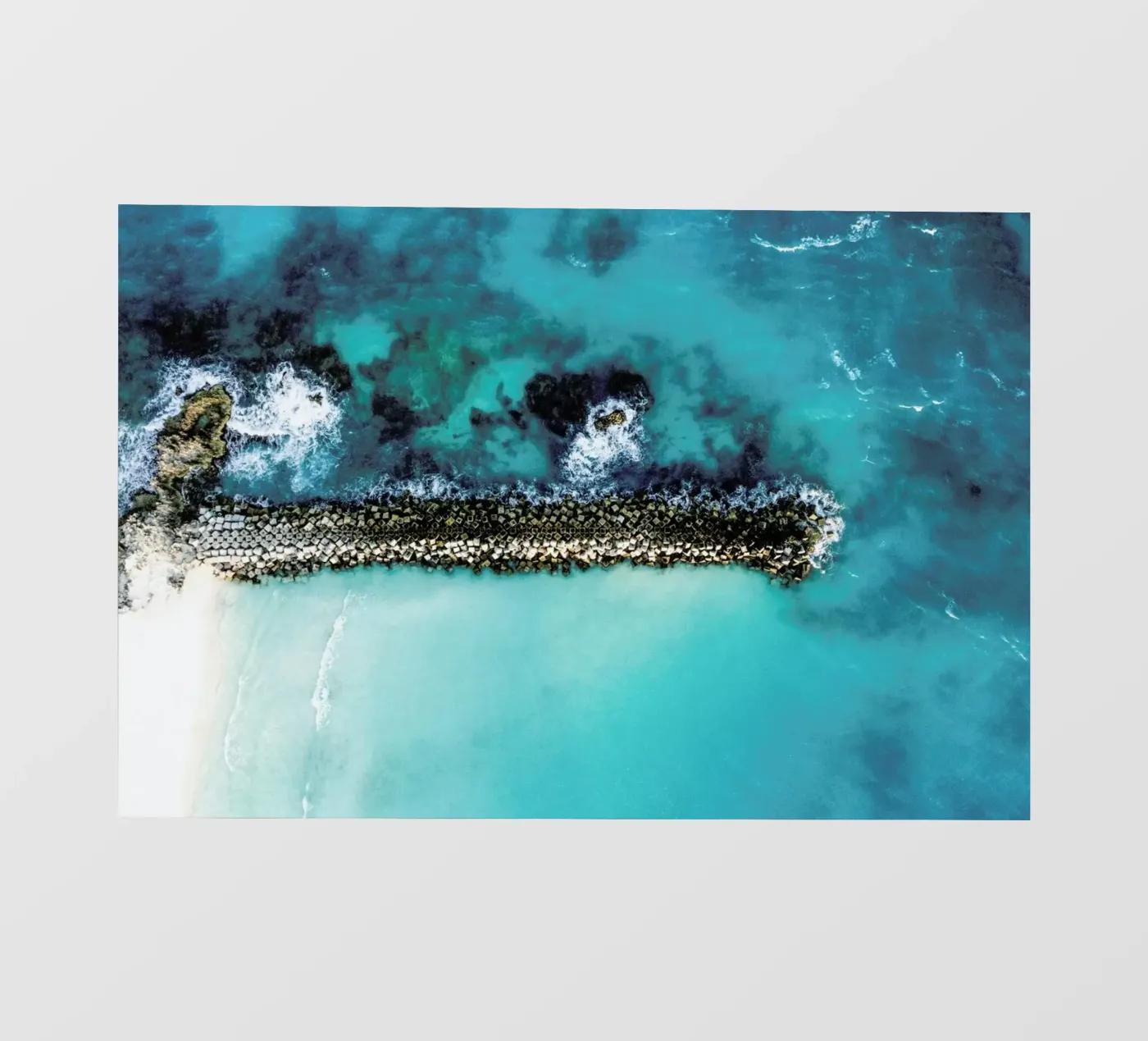 Snake pellicola backlit da ROBERTO H