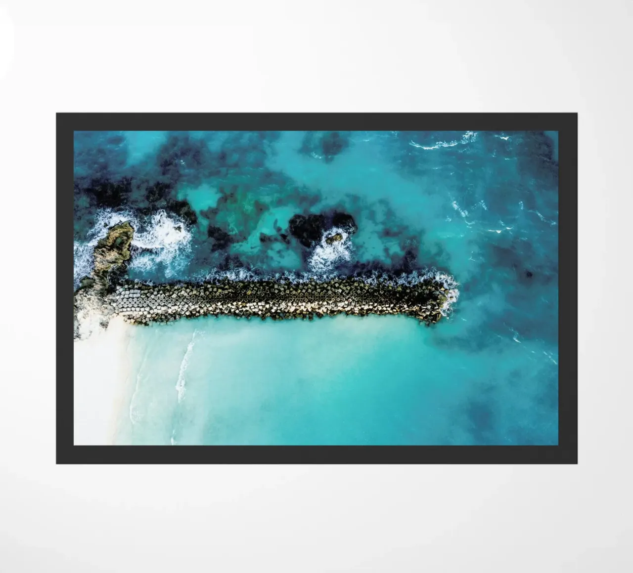 Snake zerbino da ROBERTO H