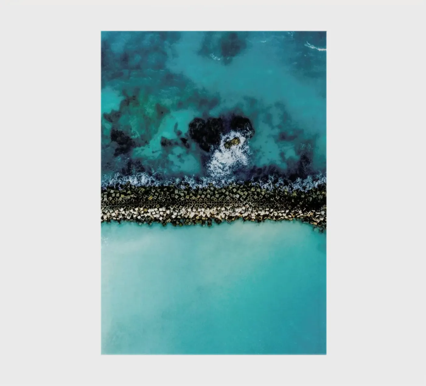 Snake notebook by ROBERTO H