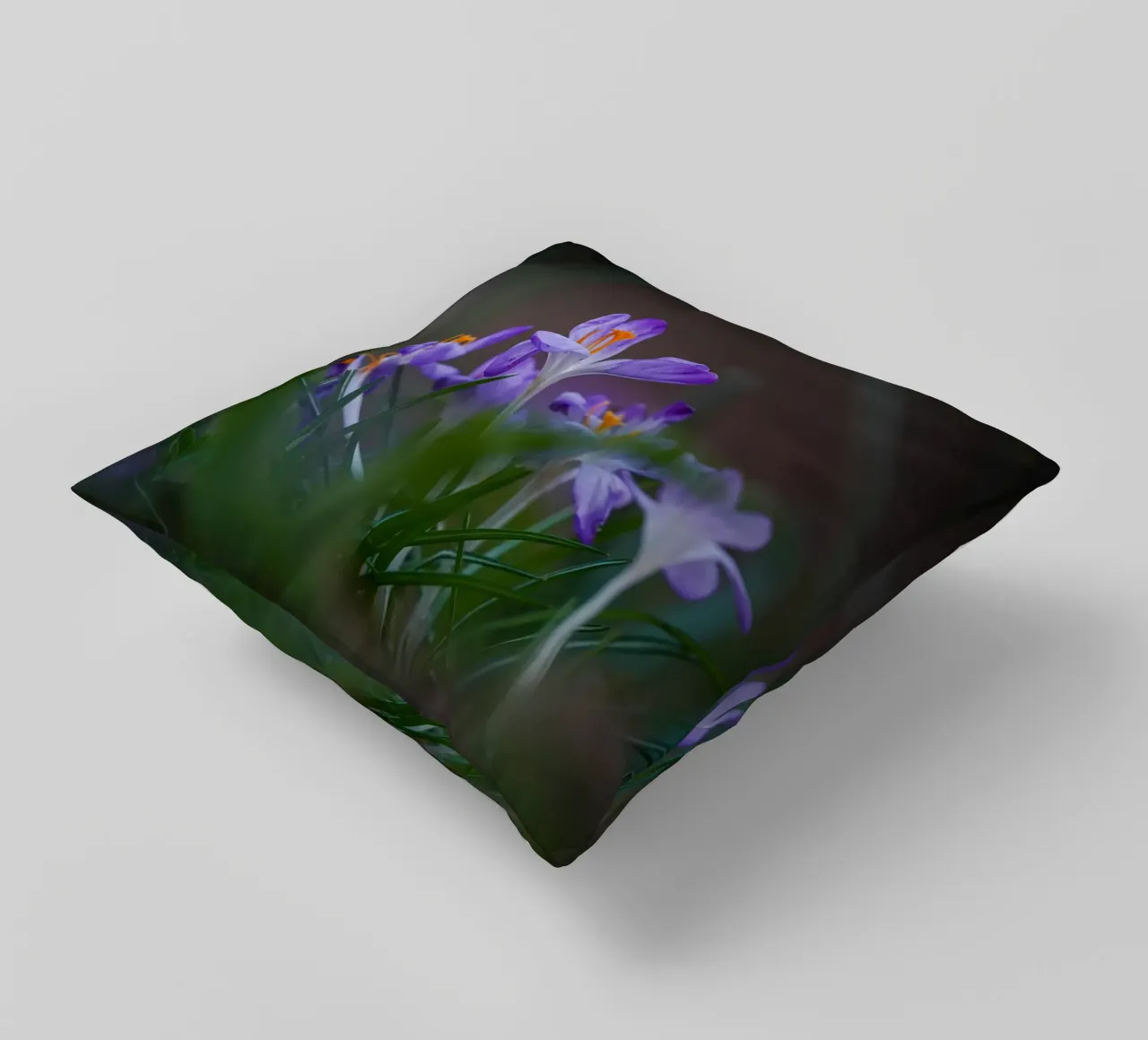 Crocus in the Amsterdam Forest decorative cushion by Tom's Wildlife