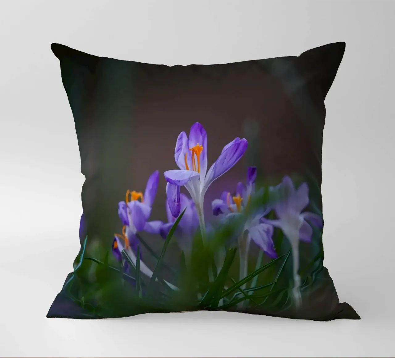Crocus in the Amsterdam Forest decorative cushion by Tom's Wildlife