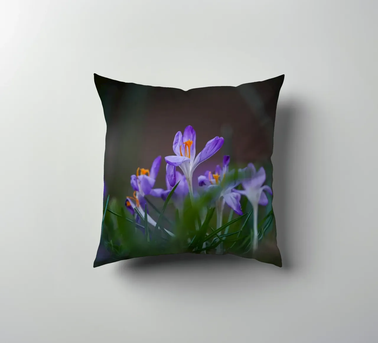 Crocus in the Amsterdam Forest decorative cushion by Tom's Wildlife