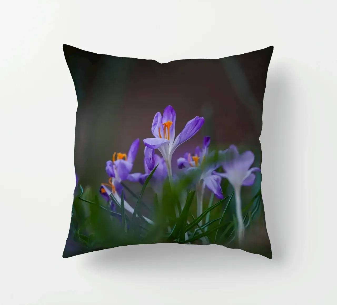 Crocus in the Amsterdam Forest decorative cushion by Tom's Wildlife