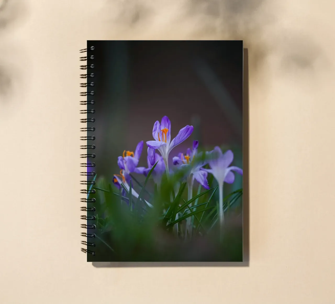 Crocus in the Amsterdam Forest spiral notebook by Tom's Wildlife