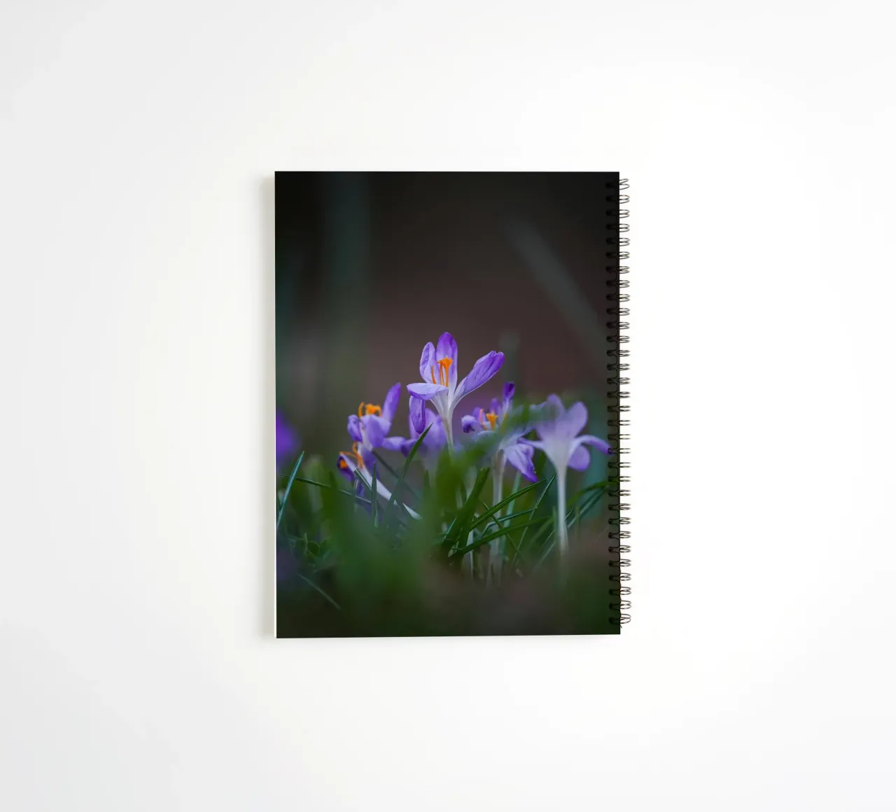 Crocus in the Amsterdam Forest spiral notebook by Tom's Wildlife