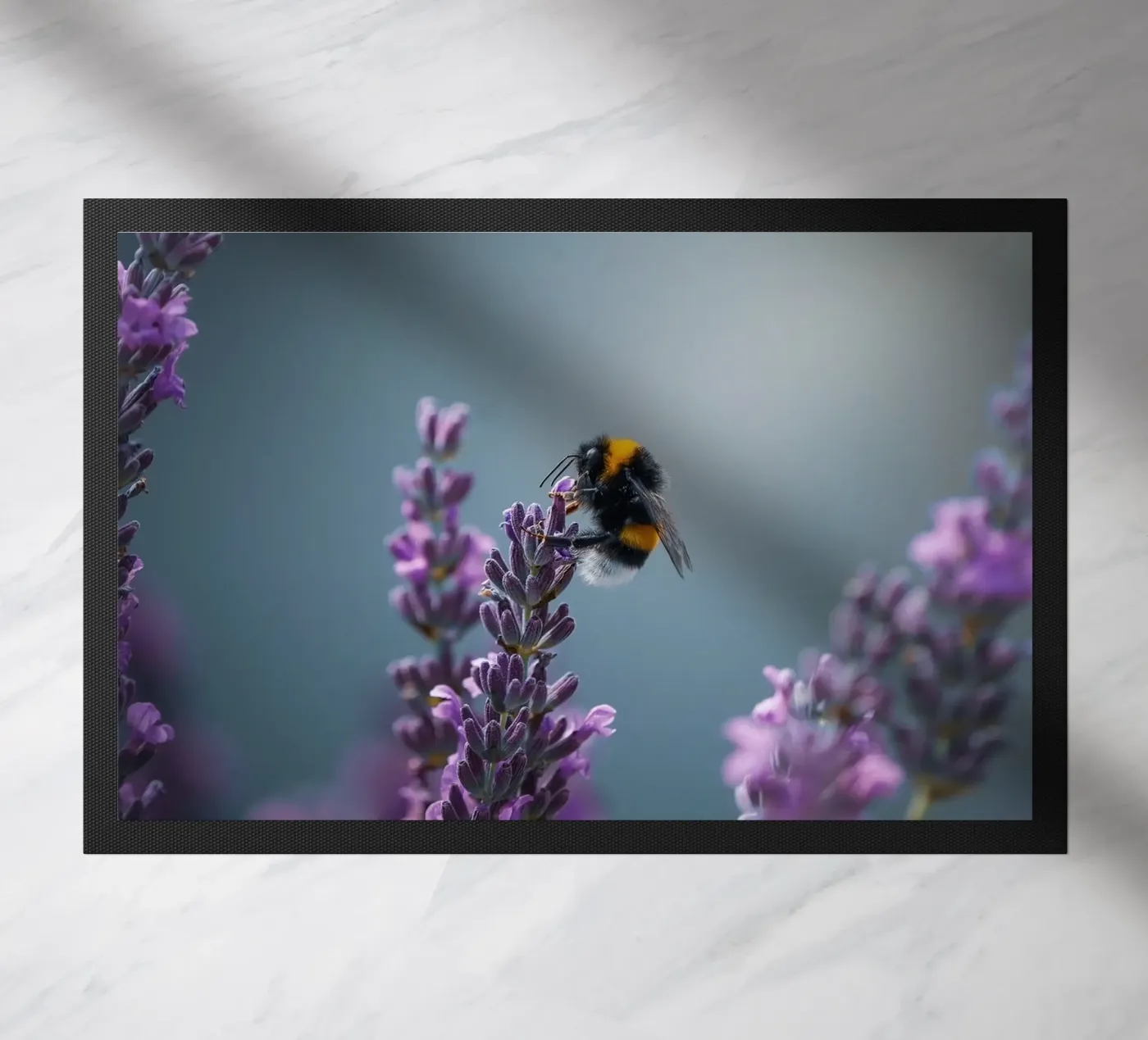 Bumblebee zerbino da Tom's Wildlife