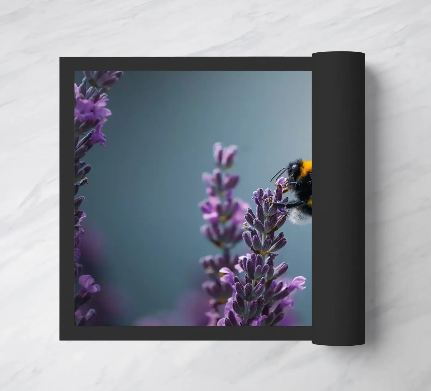 Bumblebee zerbino da Tom's Wildlife