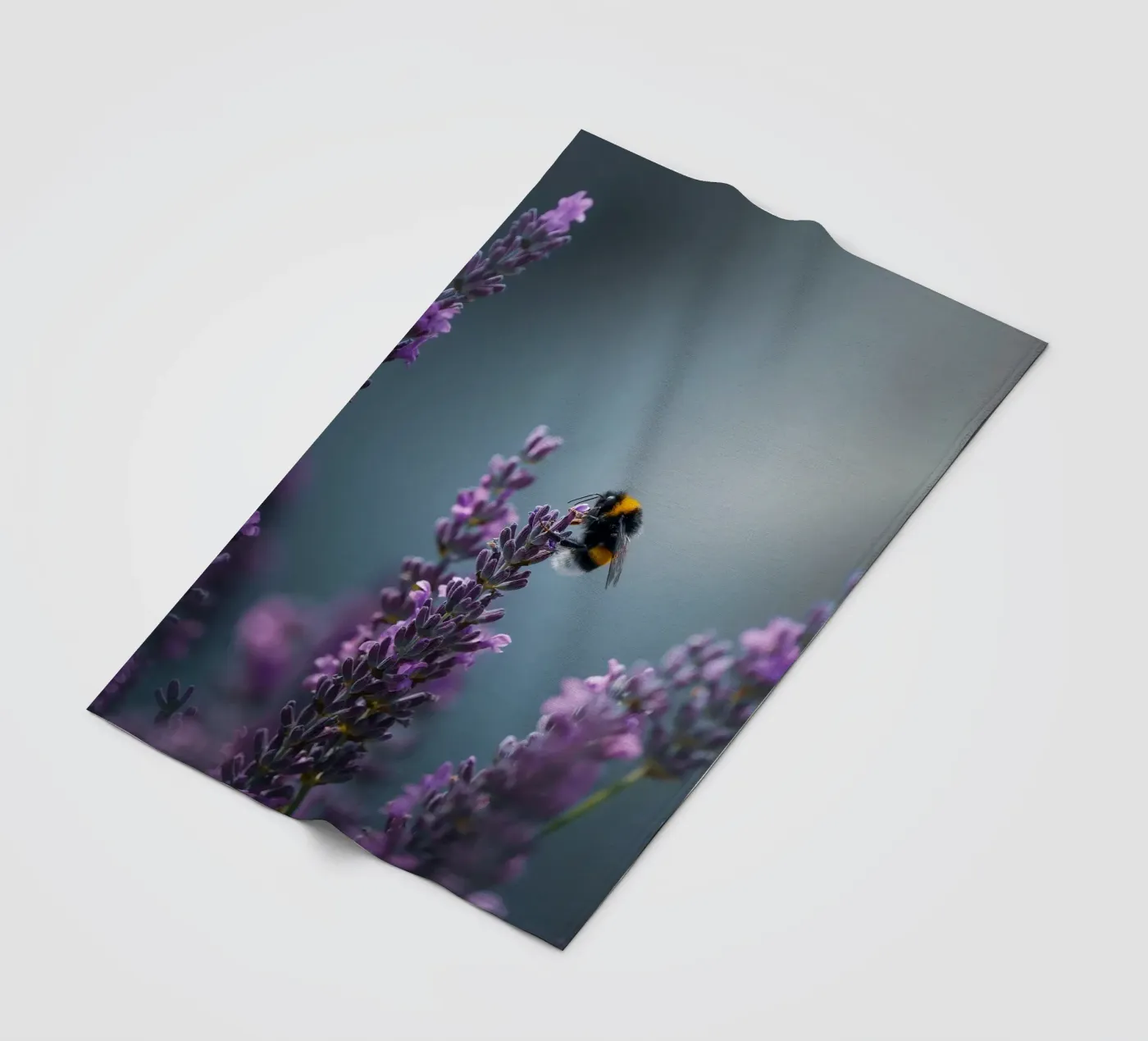 Hommel fleecedeken van Tom's Wildlife