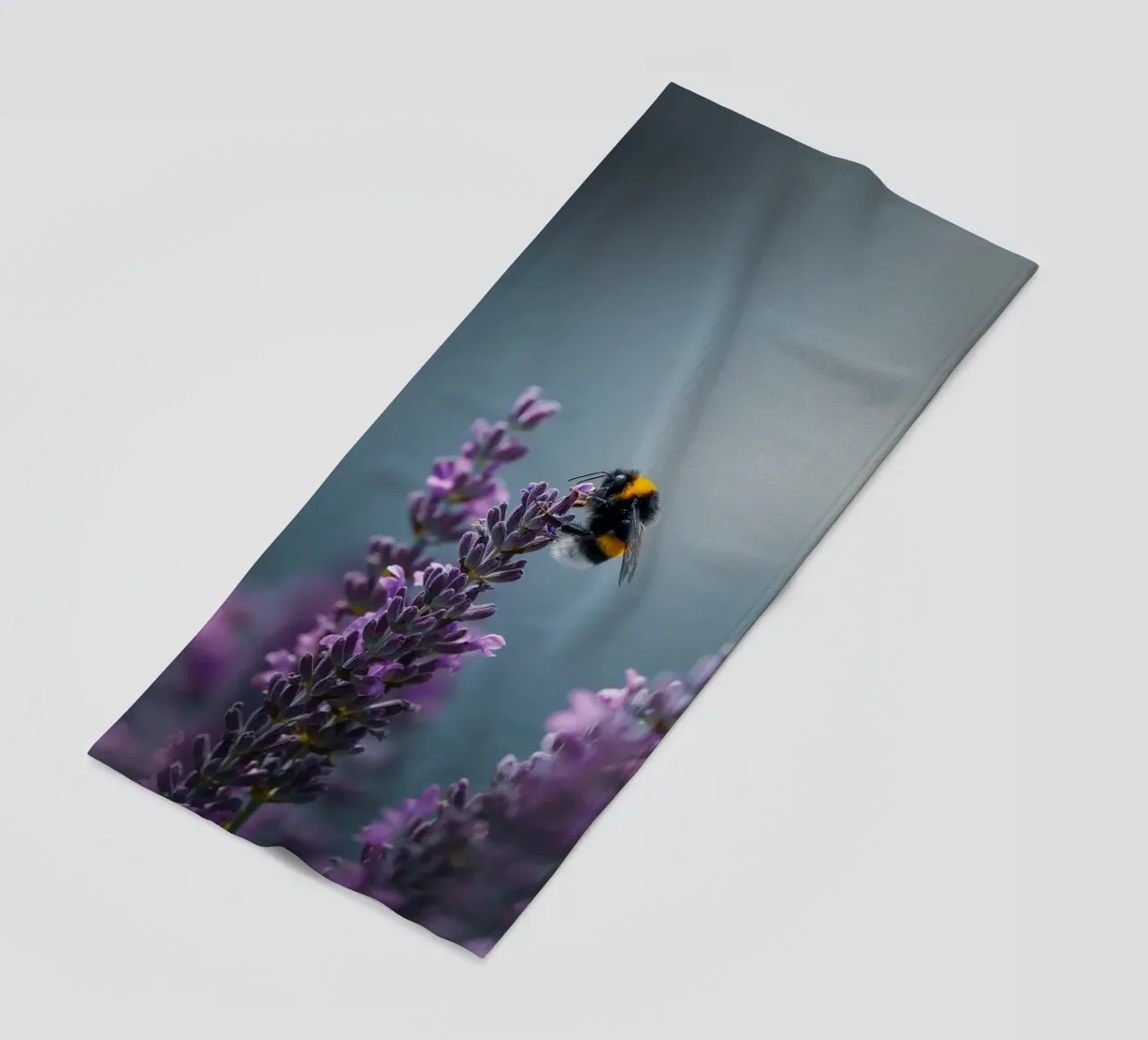 Calabrone telo mare da Tom's Wildlife