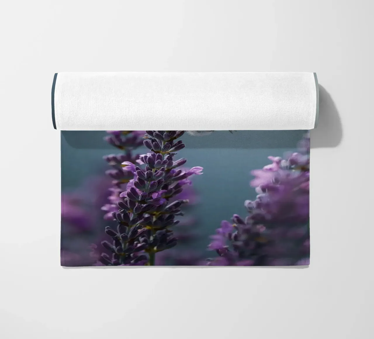 Calabrone telo mare da Tom's Wildlife