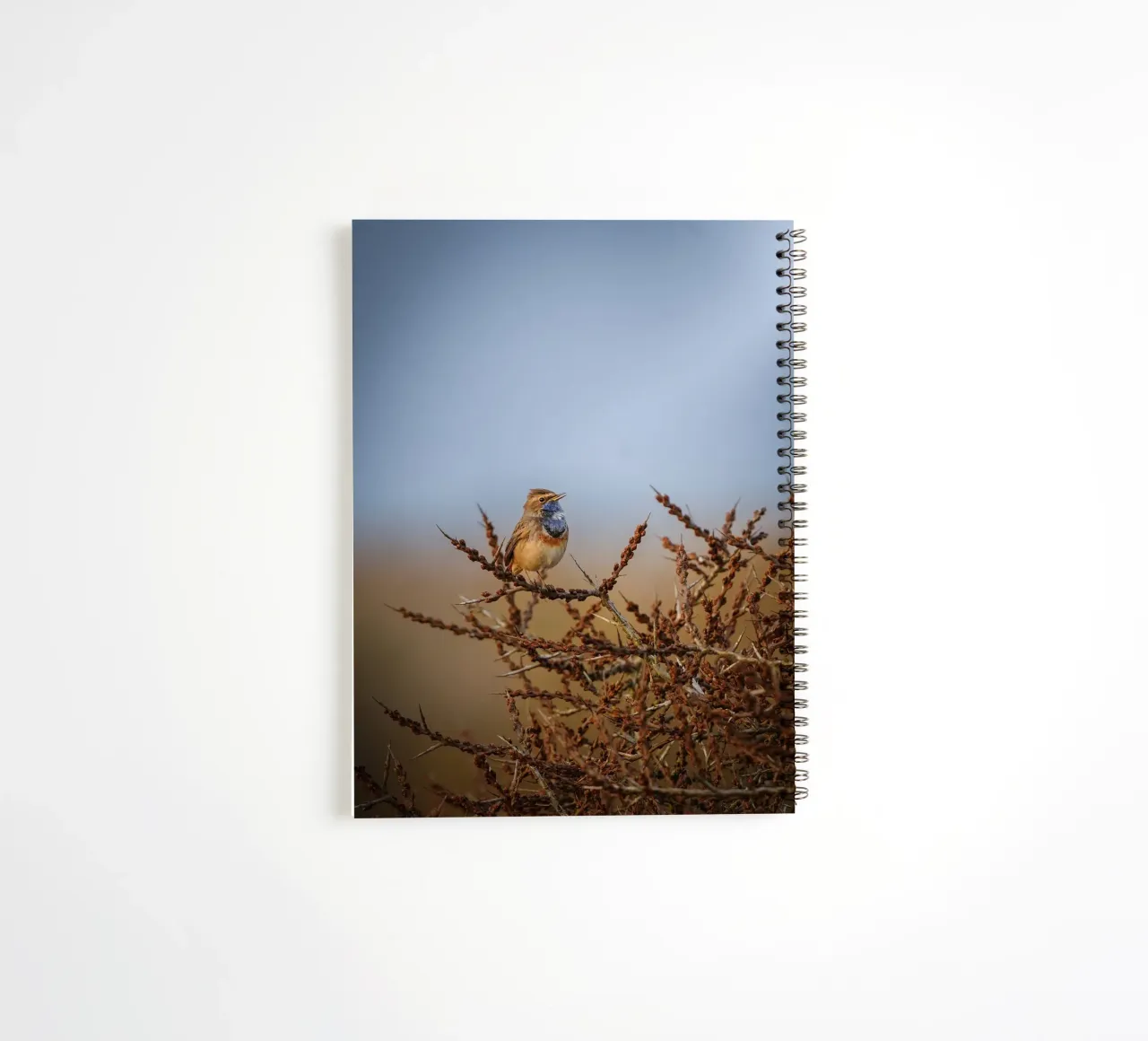 Bluethroat in the morning light. spiral notebook by Tom's Wildlife