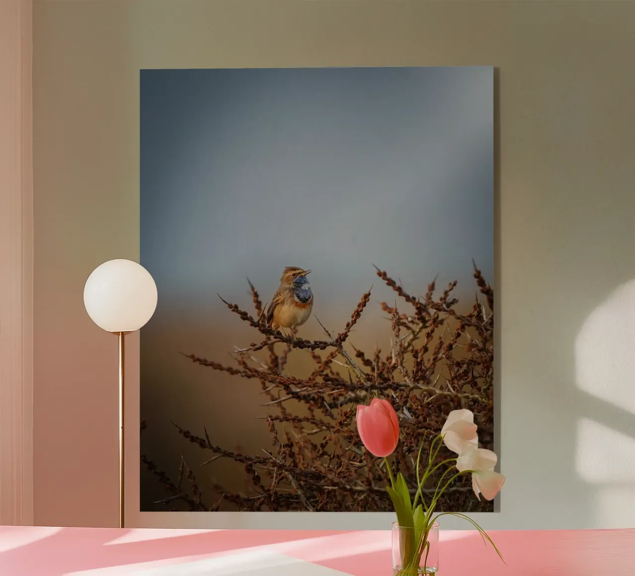 Beccapesci alla luce del mattino. plexiglass da Tom's Wildlife