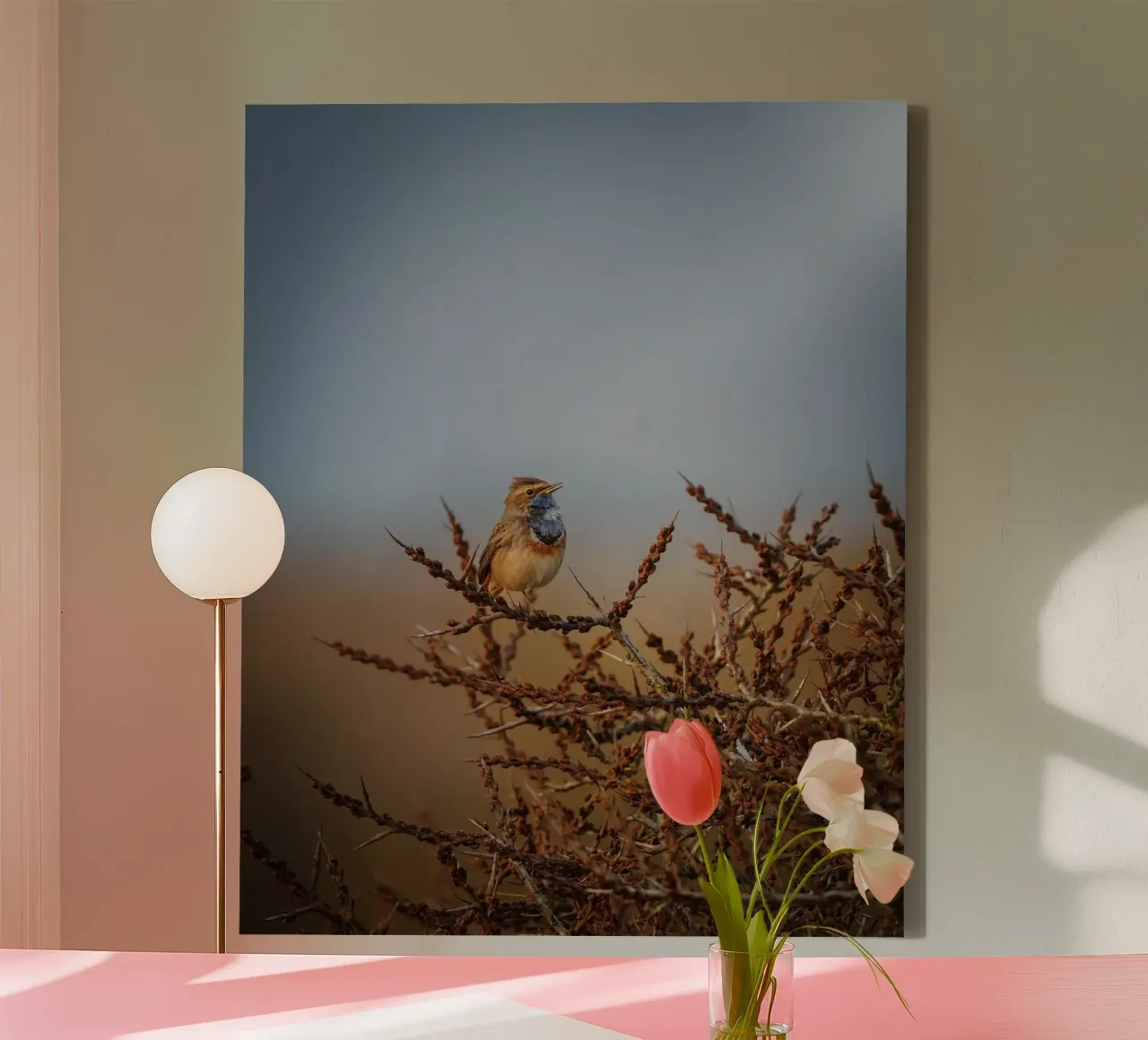 Bluethroat in the morning light. canvas by Tom's Wildlife