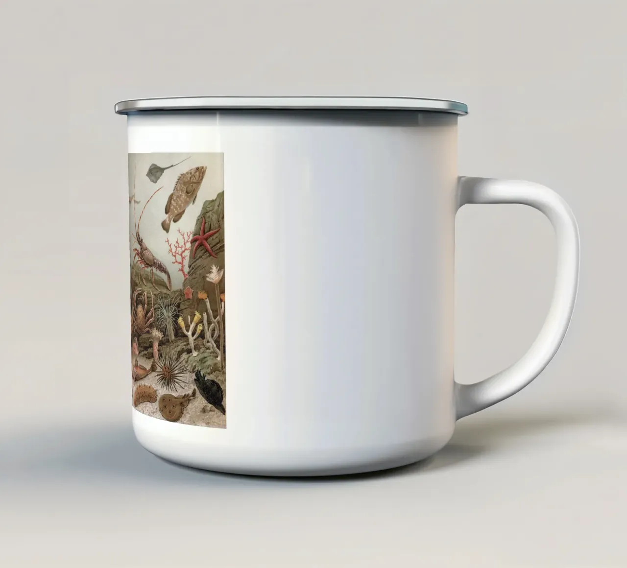 Vintage Meyers 4 Weltmeer Fauna tazza in smalto da Vintage Print Collection