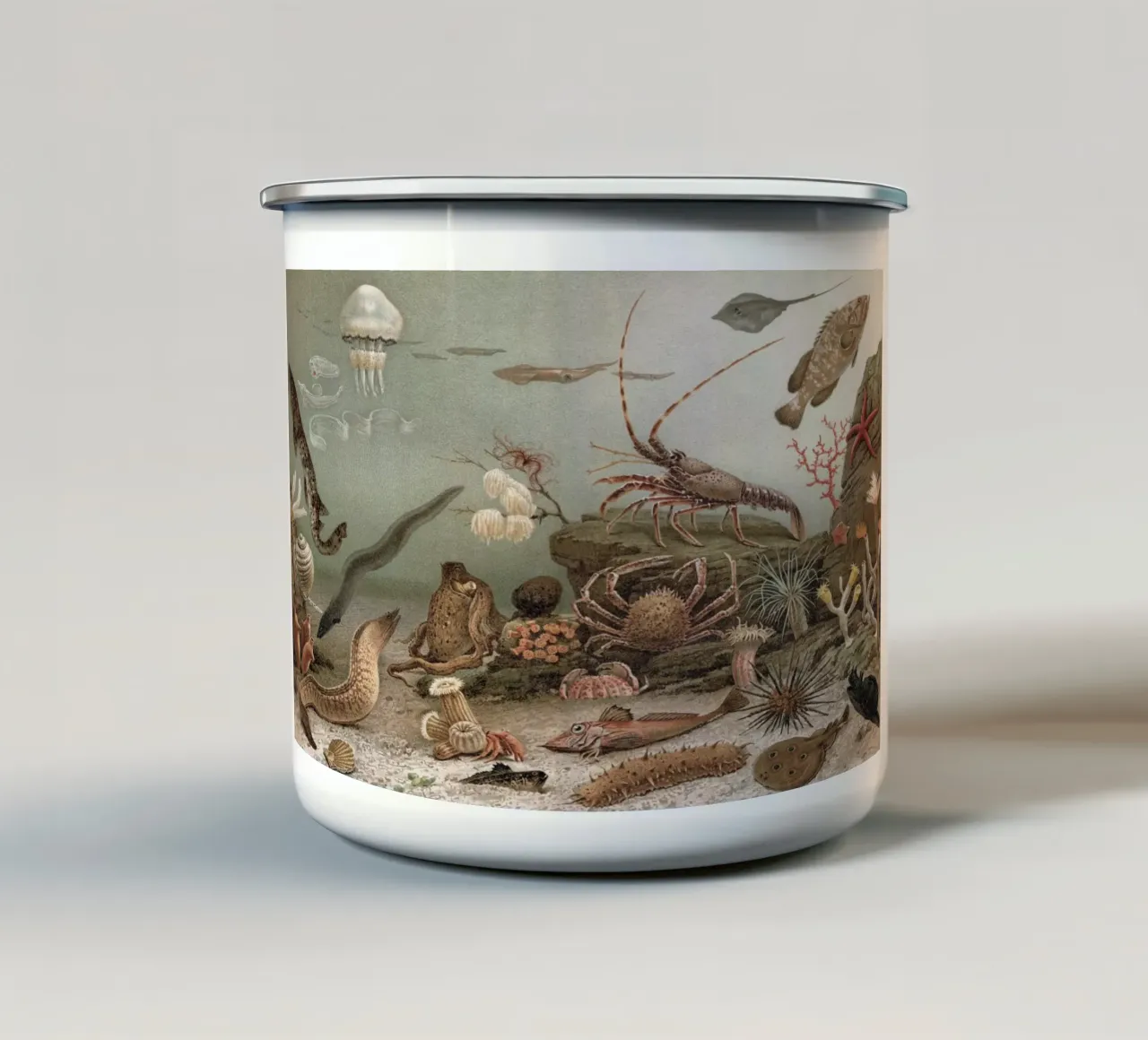 Vintage Meyers 4 Weltmeer Fauna tazza in smalto da Vintage Print Collection